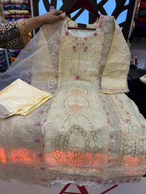 Elegant Organza Dress with Full Sleeve Inner Set